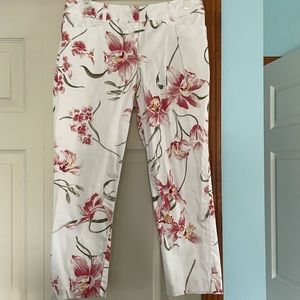 New York and company pixie pants